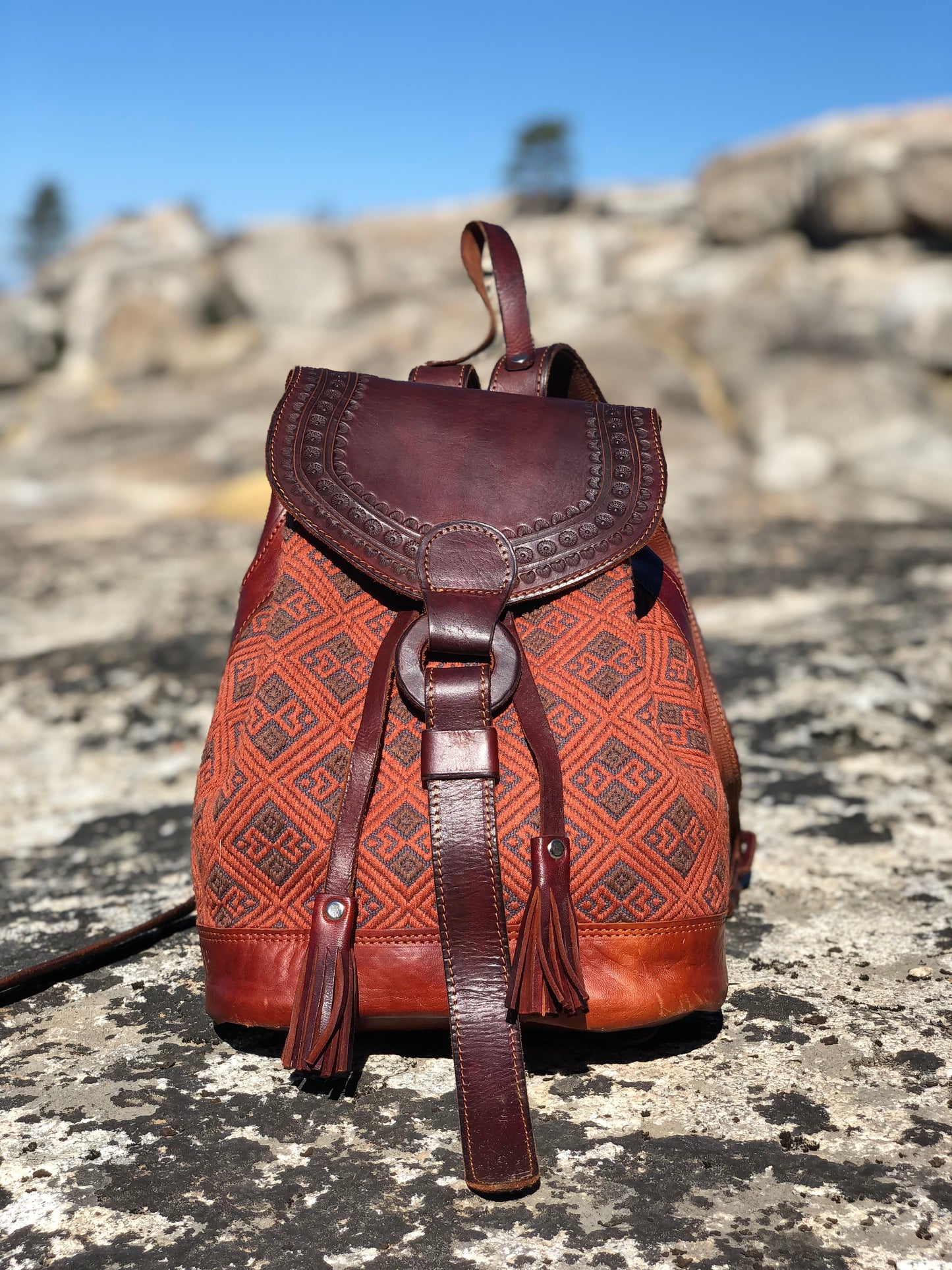 Leather & Embroidered Backpack